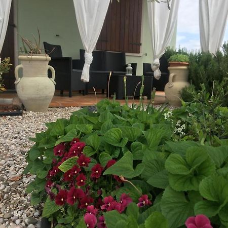 Appartamento Sofia Lazise Esterno foto