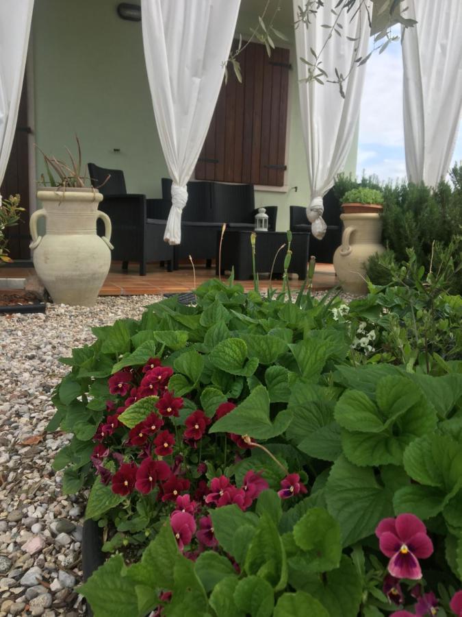 Appartamento Sofia Lazise Esterno foto